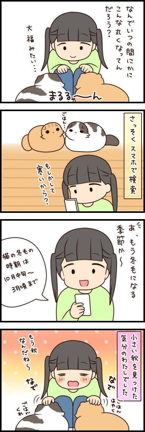 「もふもふスコたん」vol.37