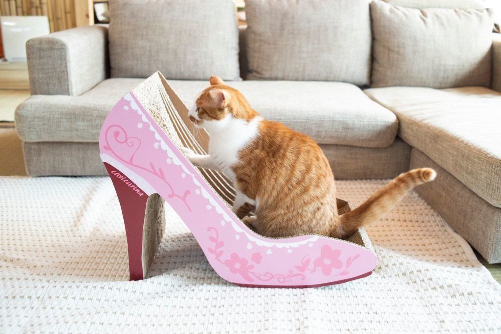 撮影／中川文作