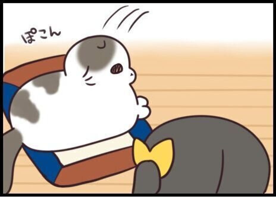 魔法の言葉を唱えたら かまって猫チャンが召喚 連載 もふもふスコたん 2 ねこのきもちweb Magazine 魔法の言葉を唱えたら かまって猫チャンが召喚 連載 もふもふスコたん 2 ねこのきもちweb Magazine