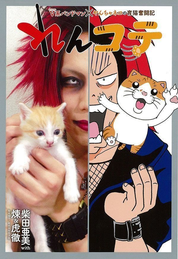 『れんコテ　V系バンドマン×やんちゃネコの育猫奮闘記』
