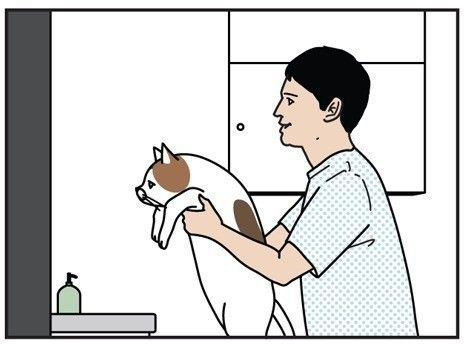 男の猫道 サムネイル
