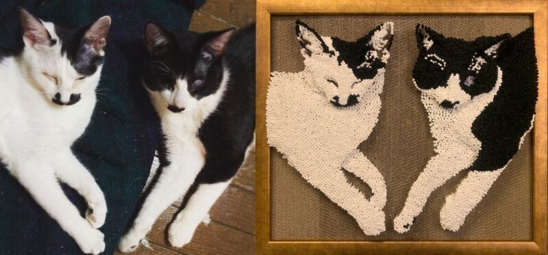 ねこのきもちWEB MAGAZINE ねこの日企画「MEN'S CAT」