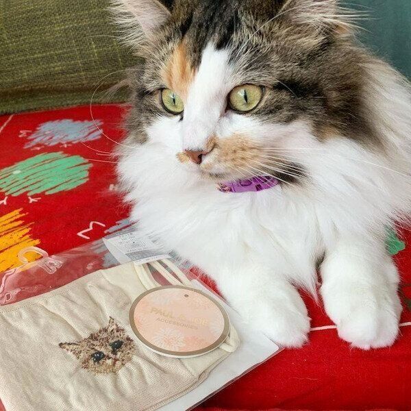 PAUL&JOEの冬アイテム