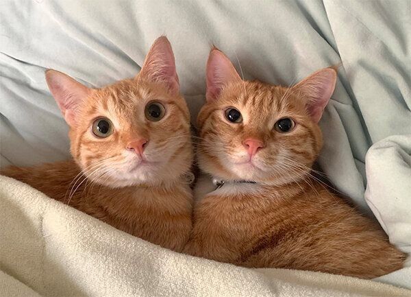 仲良しなツムくん、サムくん