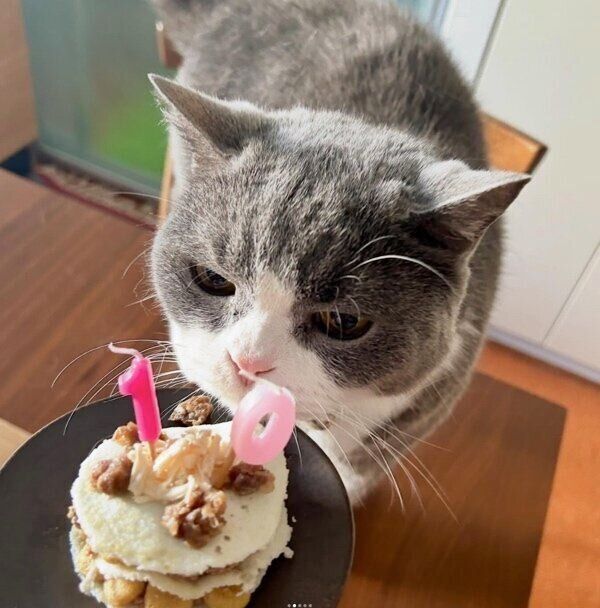 10才の誕生日を迎えたまるくん