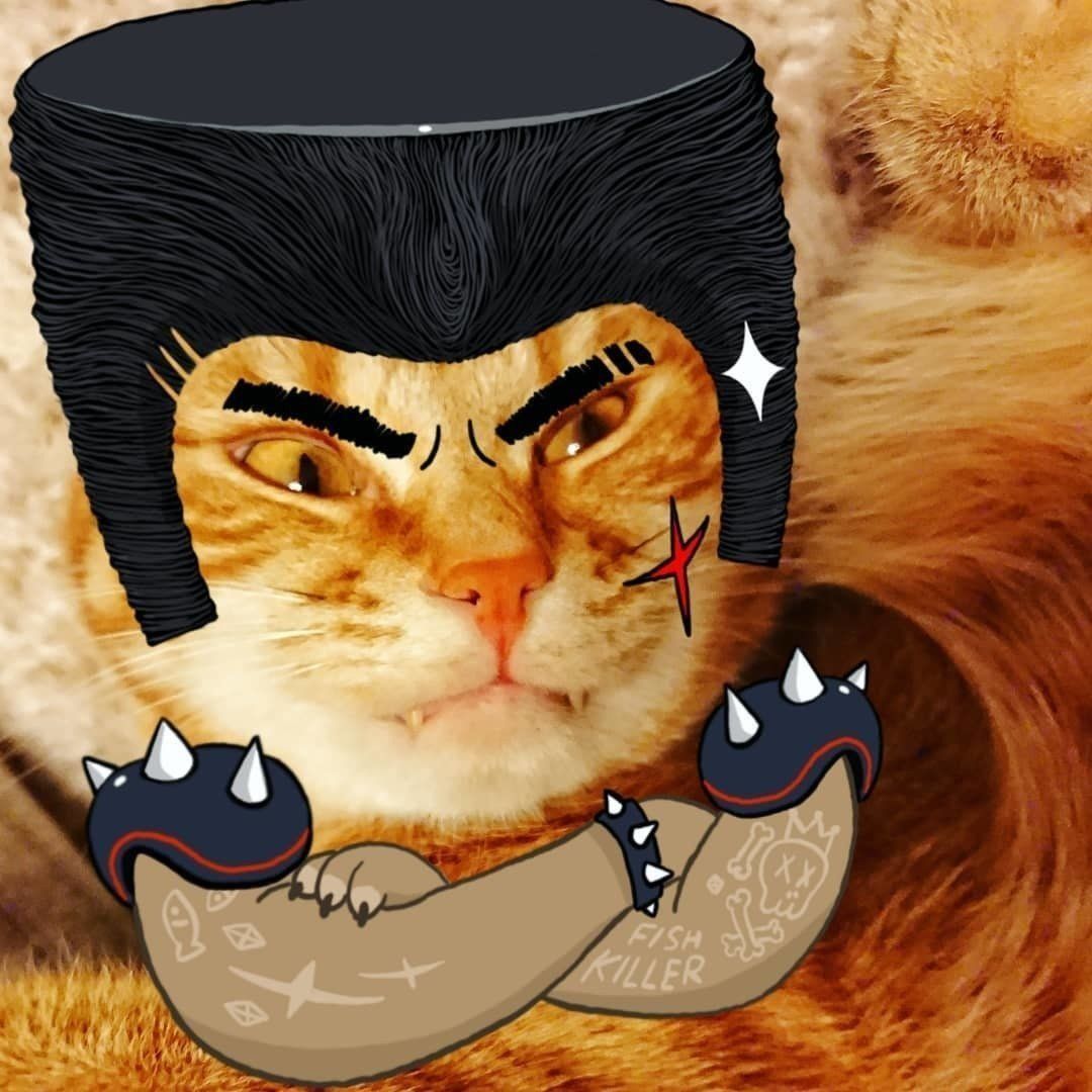 snowフィルタでコワモテになった猫