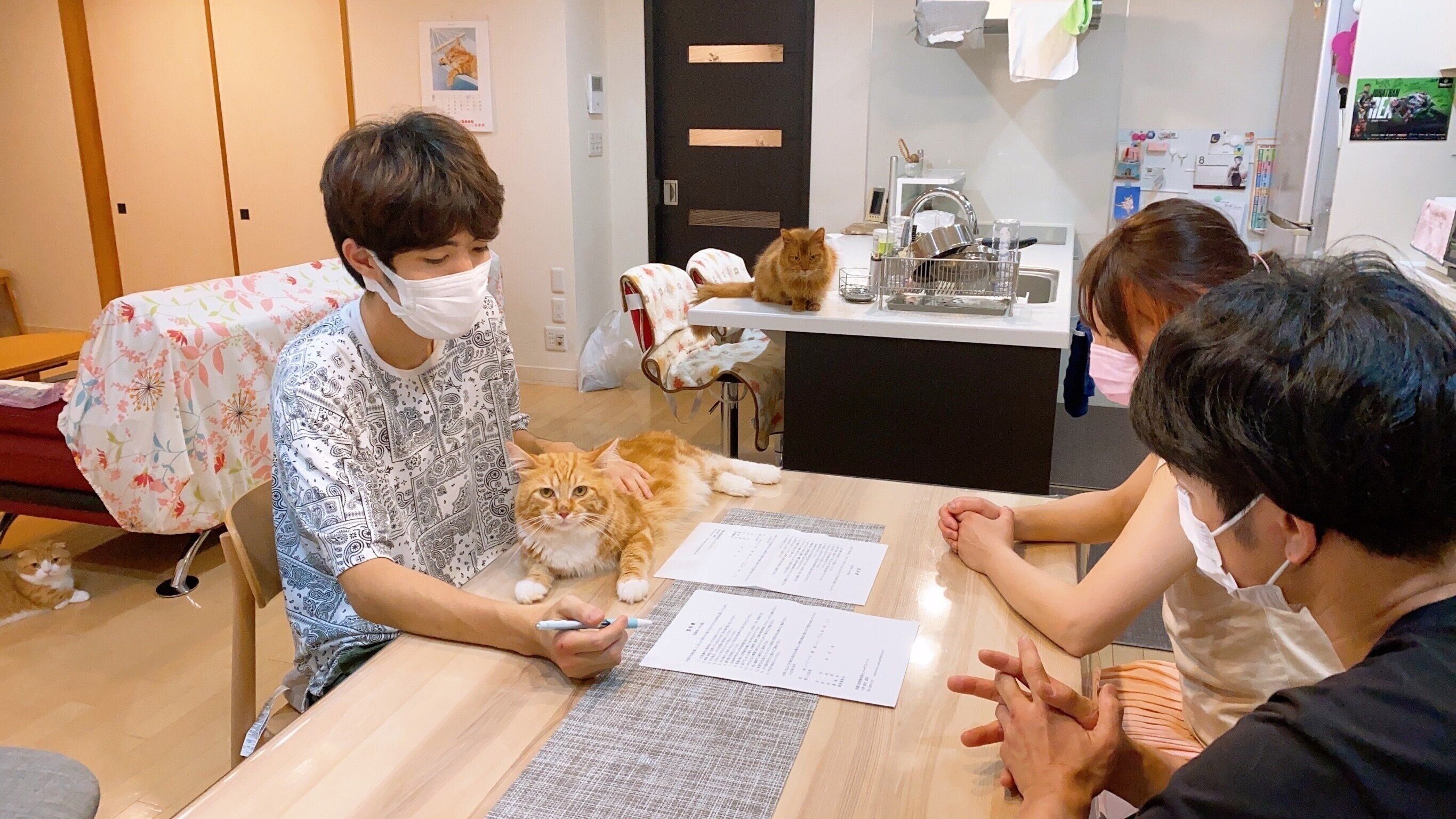 写真提供／保護犬猫情報発信センターラフスペース