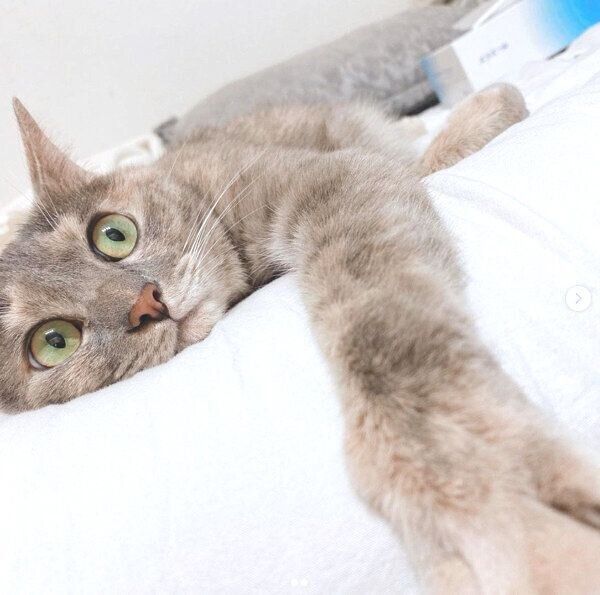 くつろぐくぅちゃん