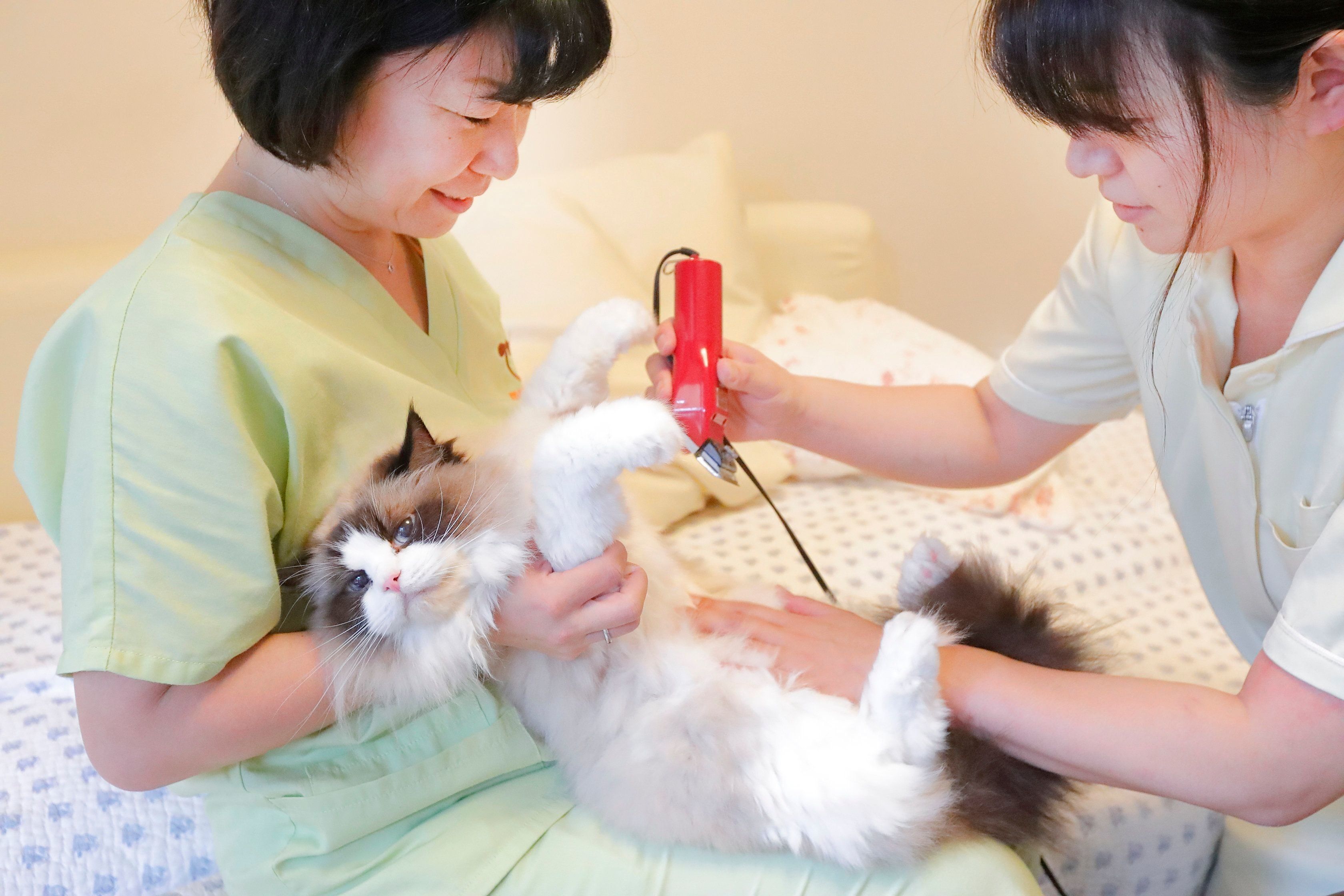 撮影／後藤さくら