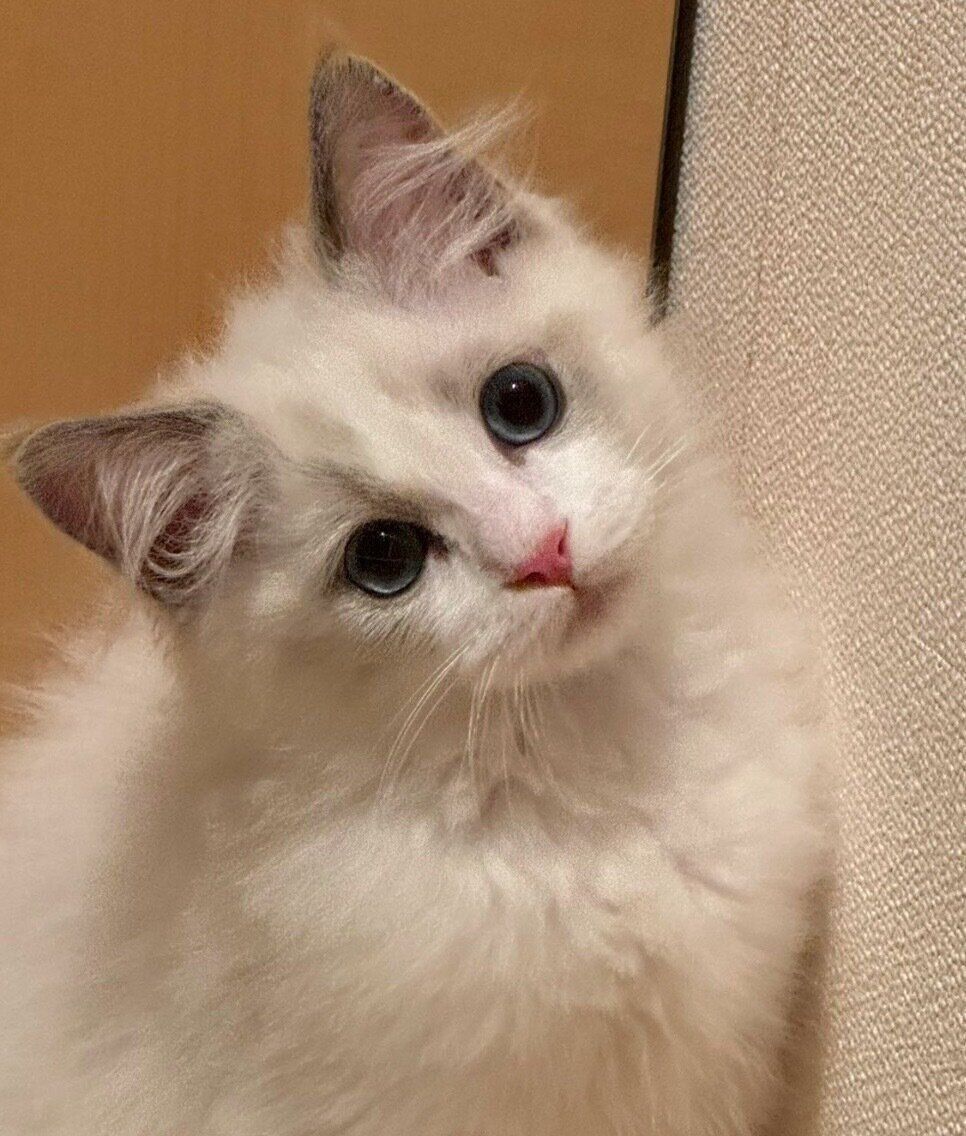 見つめる宙くん