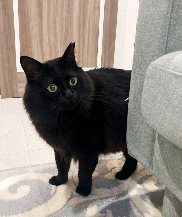 様子をうかがうもんちゃん