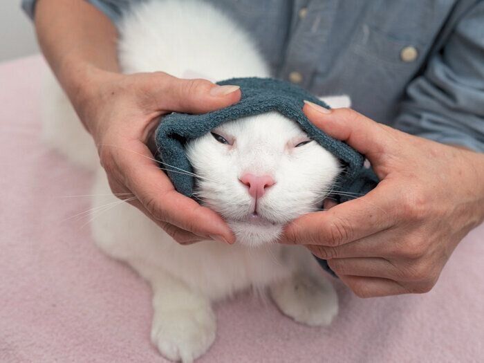 目尻に向かって