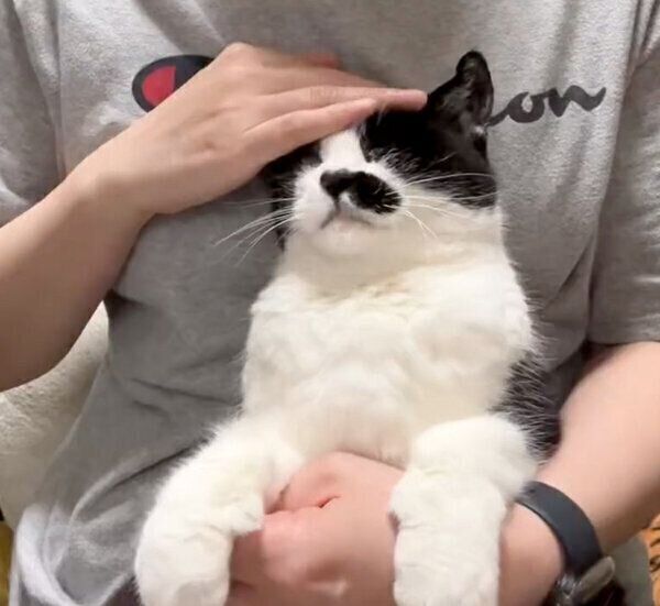 抱っこしてもらうドツちゃん