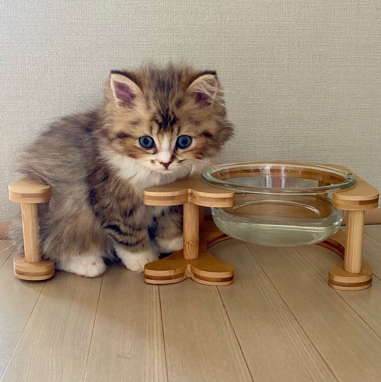 じゃれねこチャンチャーム トラネコ ぐでねこチャン チャームトラネコ