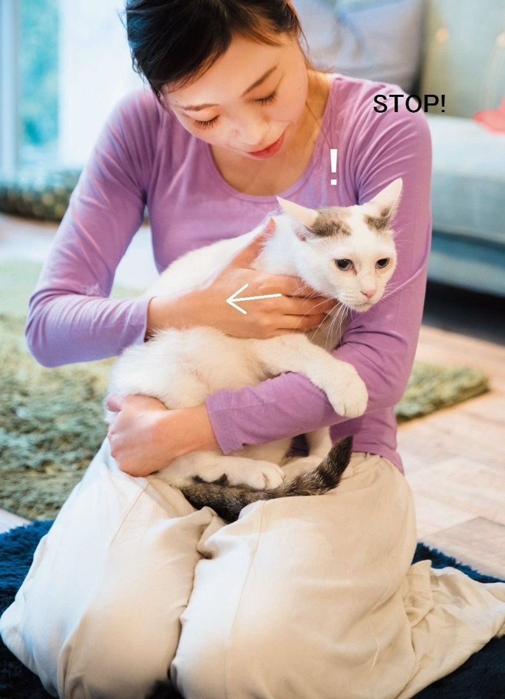 あなたもできる 抱っこが苦手な猫でも嫌がりにくい 抱き方 3つのコツ ねこのきもちweb Magazine あなたもできる 抱っこが苦手な猫でも嫌がりにくい 抱き方 3つのコツ ねこのきもちweb Magazine