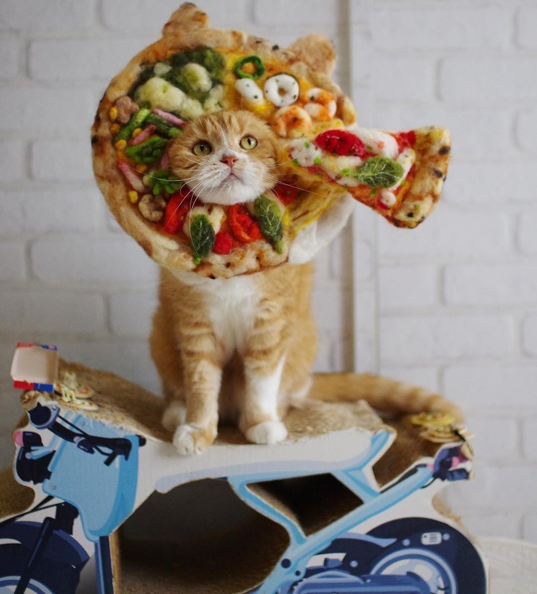 ピザのかぶりものをするぷぷちゃん