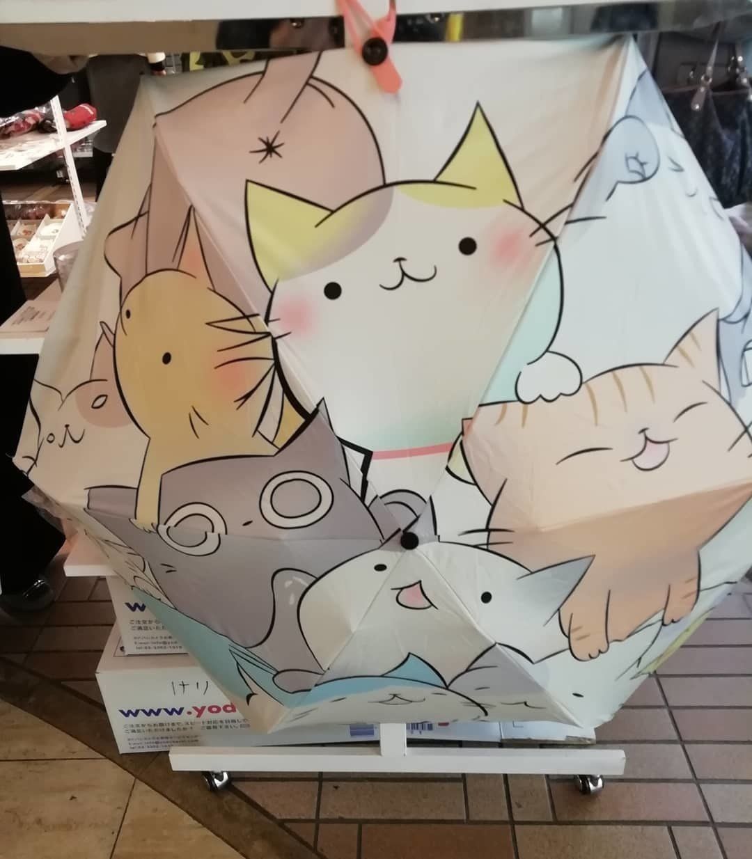 猫だらけの傘