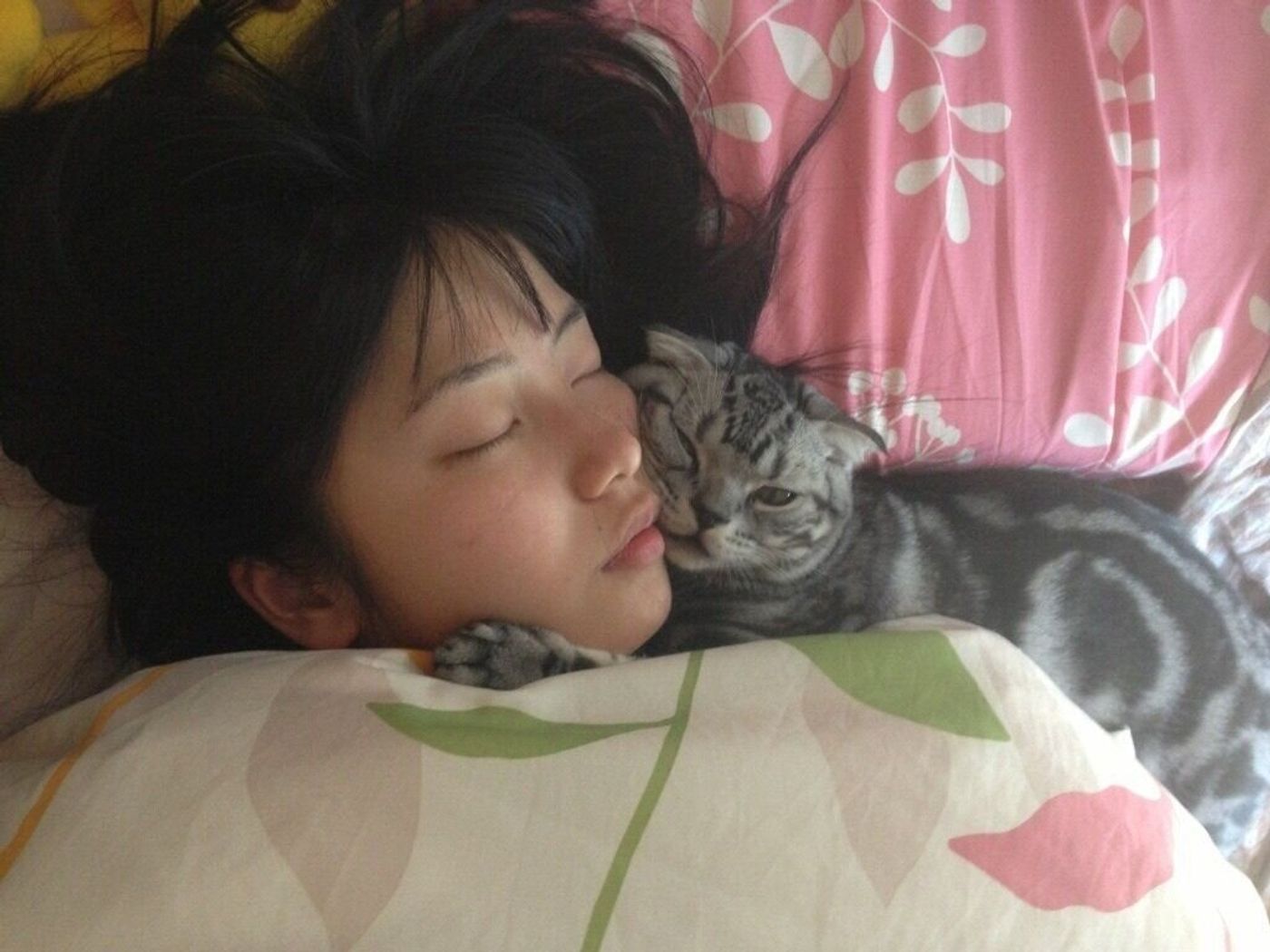 どんなに辛くても猫がいたから頑張れた Akb48 横山由依が素の自分に戻るとき 愛猫の存在と舞台への意気込みを語る ねこのきもちweb Magazine どんなに辛くても猫がいたから頑張れた Akb48 横山由依が素の自分に戻るとき 愛猫の存在と舞台への意気込みを語る ねこのきもちweb Magazine