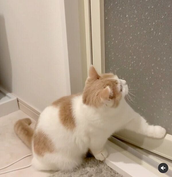 水滴が気になるマロくん