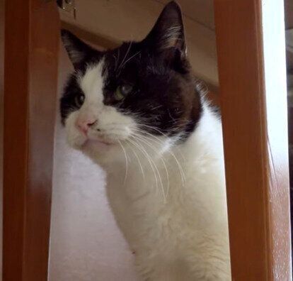 21歳の元気くん♡