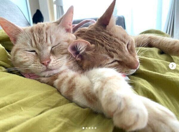 眠るもあちゃん、ちのくん
