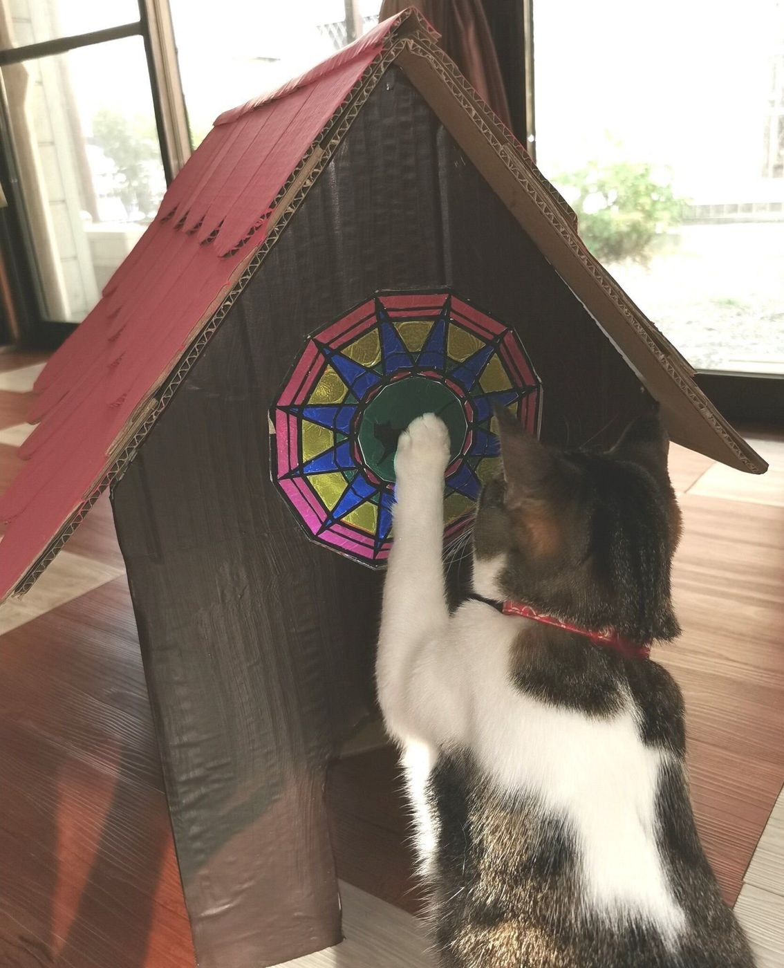 スノコや段ボールなどでdiy 身近な素材でできる手作り猫グッズ ねこのきもちweb Magazine スノコや段ボールなどでdiy 身近な素材でできる手作り猫グッズ ねこのきもちweb Magazine