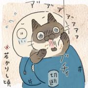 ねこ連れ草に関する記事一覧 ねこのきもちweb Magazine ねこ連れ草に関する記事一覧 ねこのきもちweb Magazine