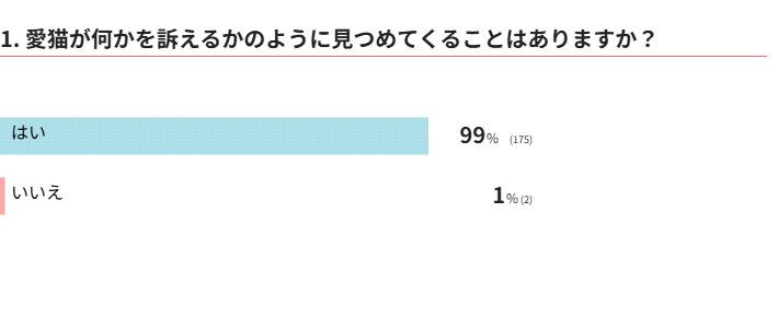 愛猫が何かを訴えるかのように見つめてくることはありますか？