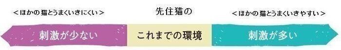 先住猫のこれまでの環境