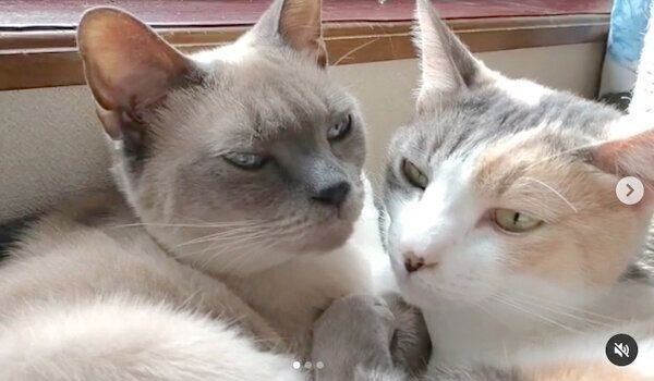 まったりするすずちゃん、じゅりちゃん