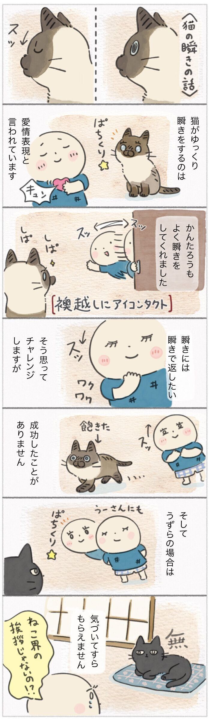 「ねこ連れ草」317話め
