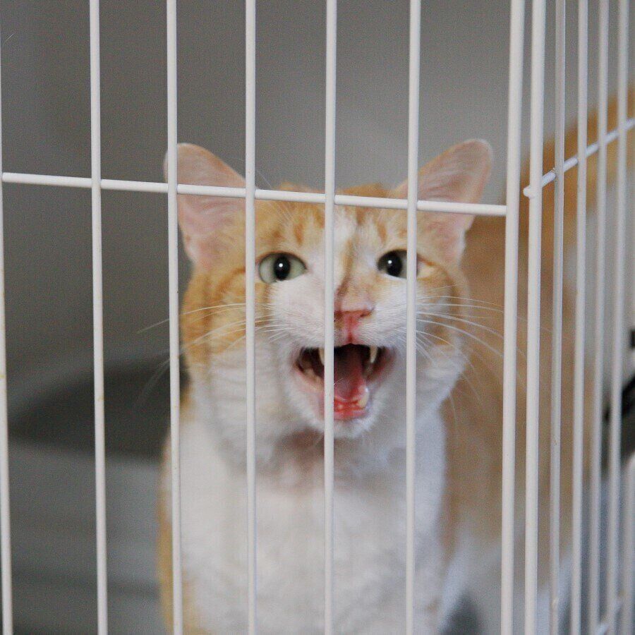 写真提供／一般社団法人Do One Good