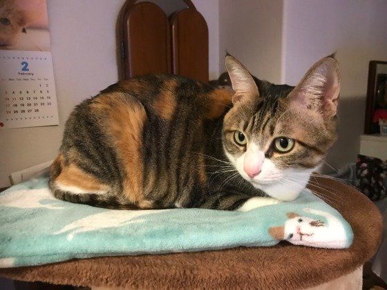 可愛いめいちゃん