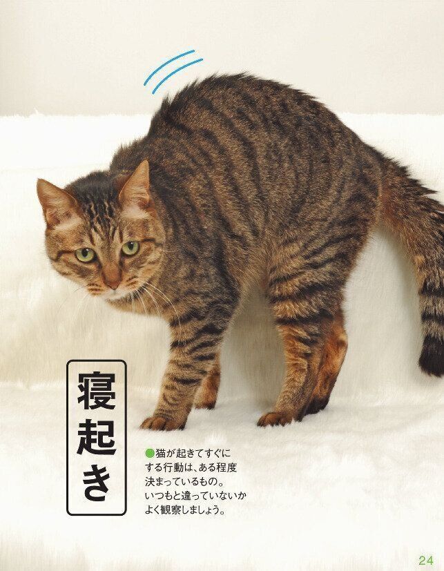 寝起きチェック