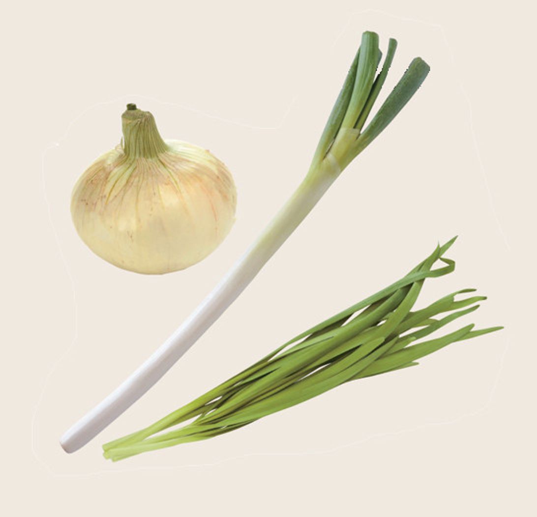 野菜が苦手 元気になる食べ物は 猫飼いさんが知っておきたい 猫の栄養学 ねこのきもちweb Magazine 野菜が苦手 元気になる食べ物は 猫飼いさんが知っておきたい 猫の栄養学 ねこのきもちweb Magazine