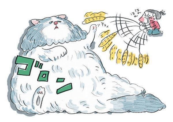 寝転がって前足だけで遊ぼうとする