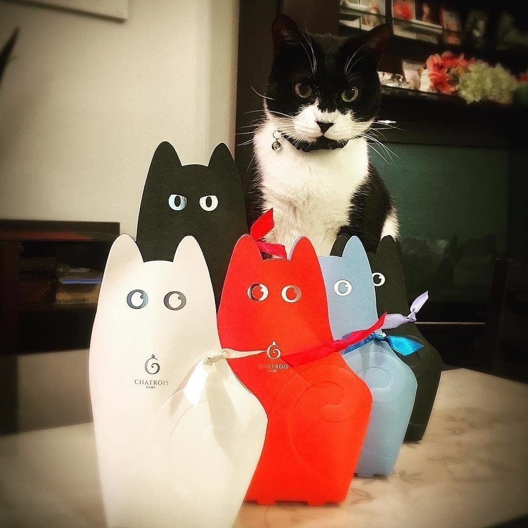 本物のミュゼ君はどこ…！？