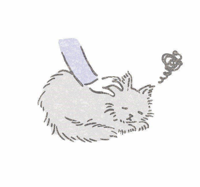 イラスト／ツキシロクミ