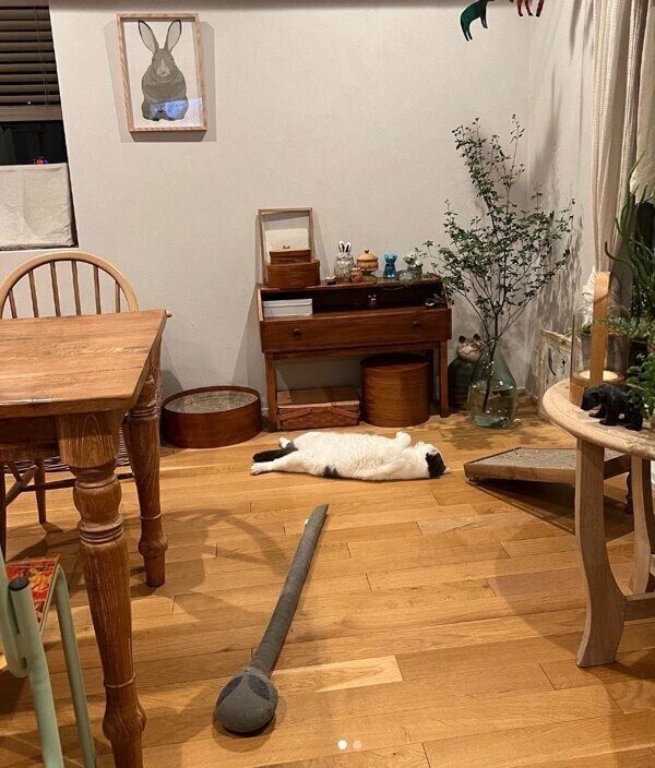 寝転がるカツヲくん