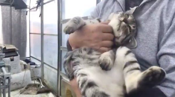 飼い主さんに抱っこされるコタローくん