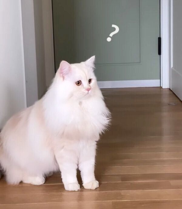 なにかを見つめるもなかくん