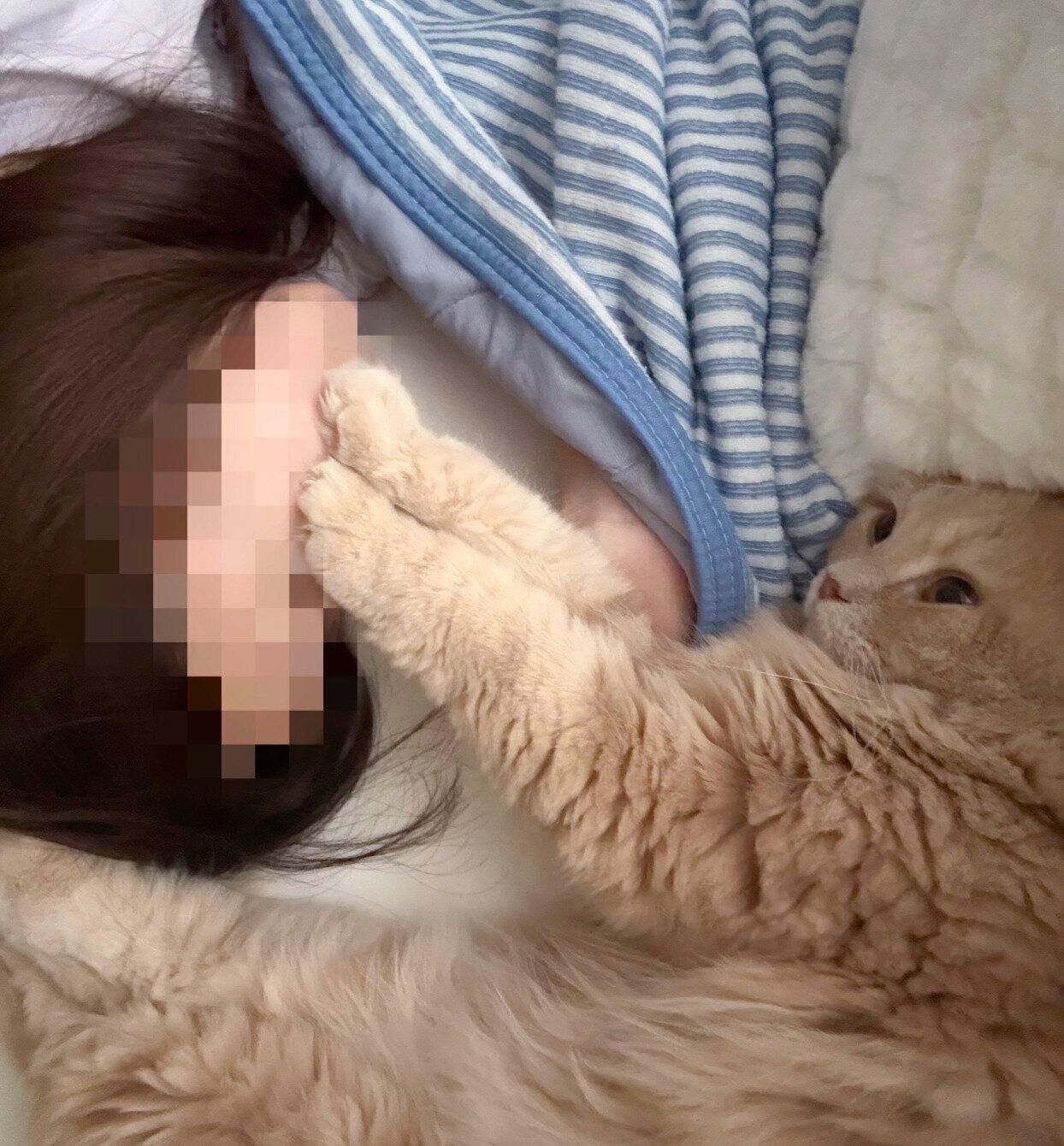 飼い主さんと一緒に昼寝をするつきみくん