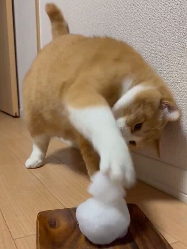 6才になっても雪だるまで遊ぶさんてくん