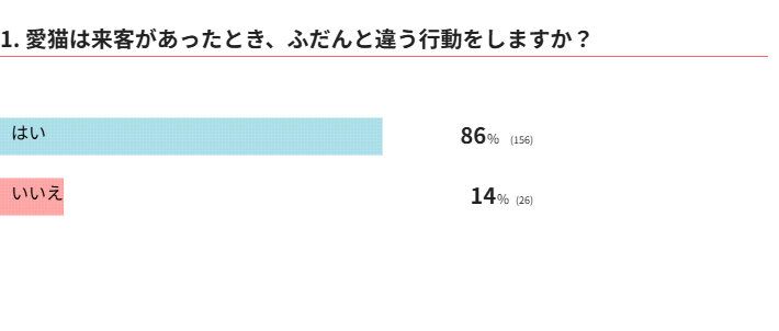 愛猫は来客時にふだんと違う行動をしますか？