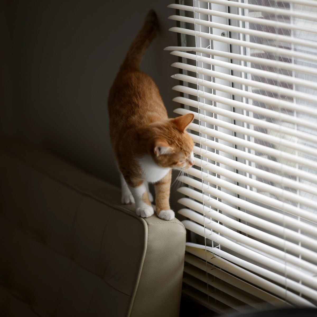 撮影／Akimasa Harada