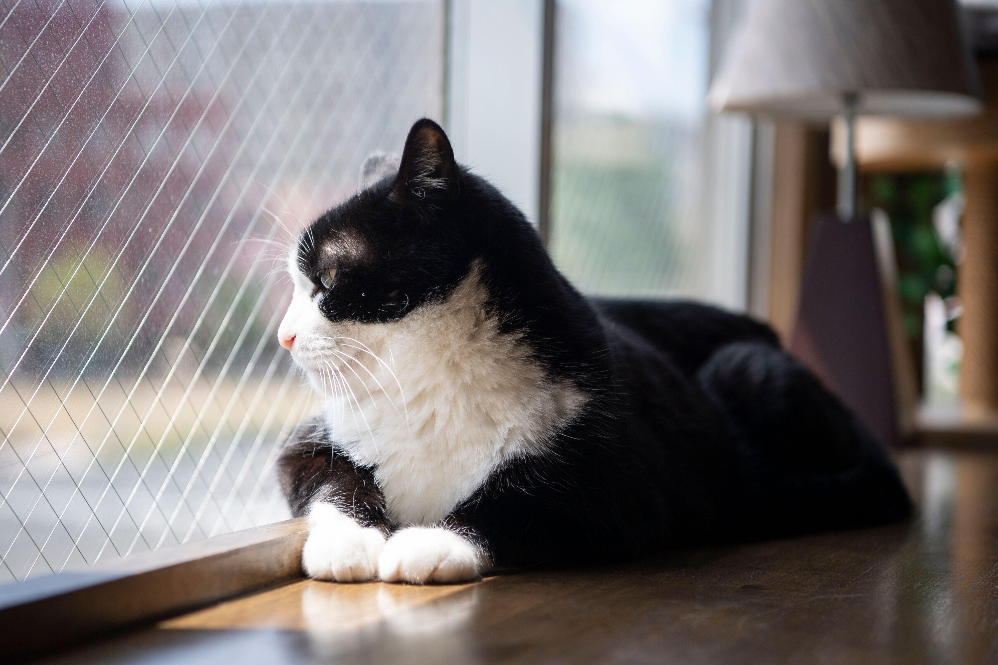 撮影／Akimasa Harada