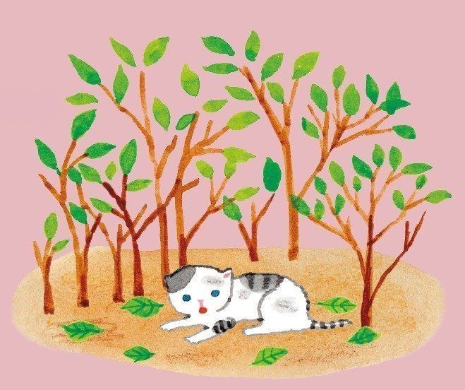 イラスト／竹脇麻衣