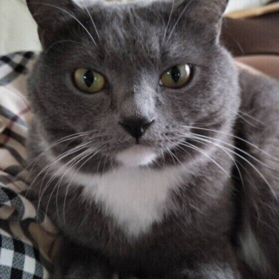 こちらをみつめるらんまるちゃん