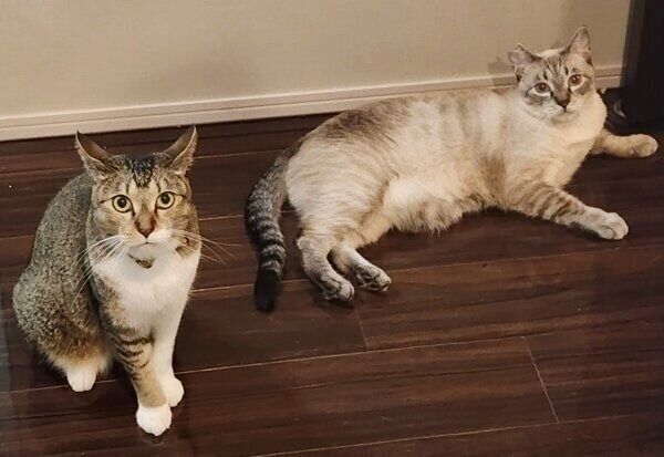 海空くんとかん夏ちゃんのツーショット