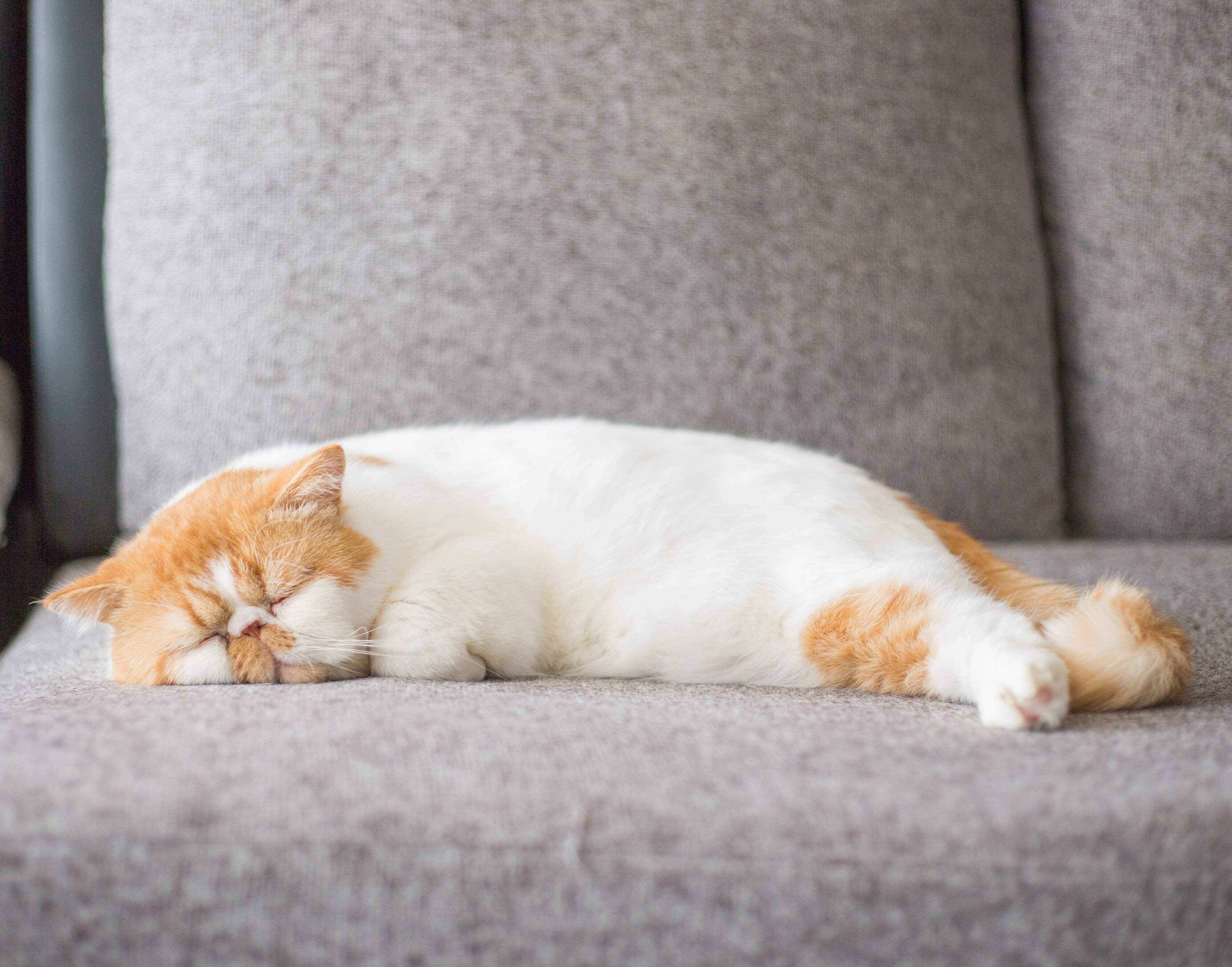 撮影／長谷川里美